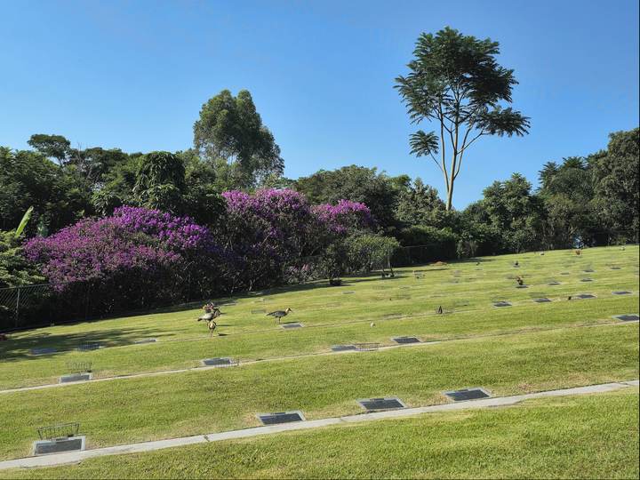 Lápides no gramado da quadra Cerejeiras