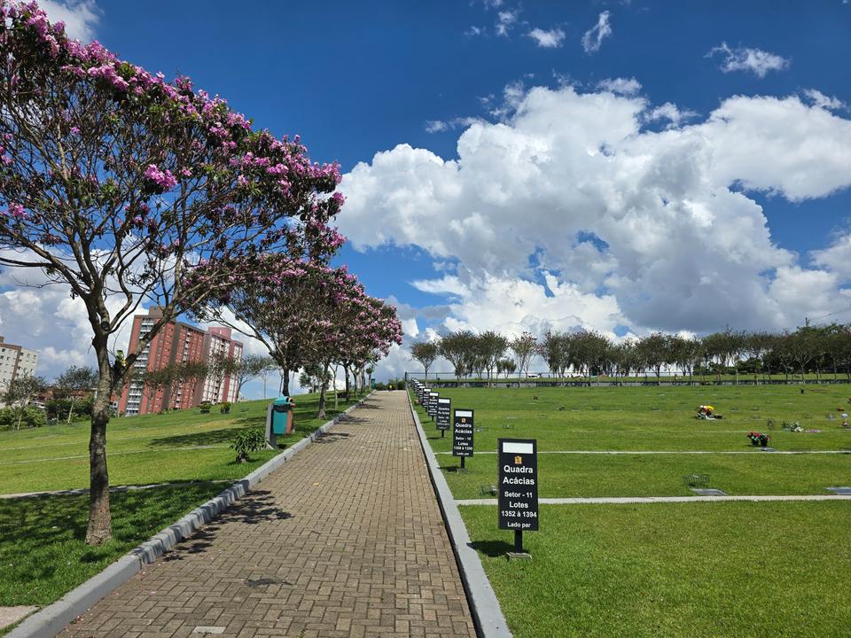 Alameda arborizada do Valle dos Reis, com ipês floridos ao longo do caminho